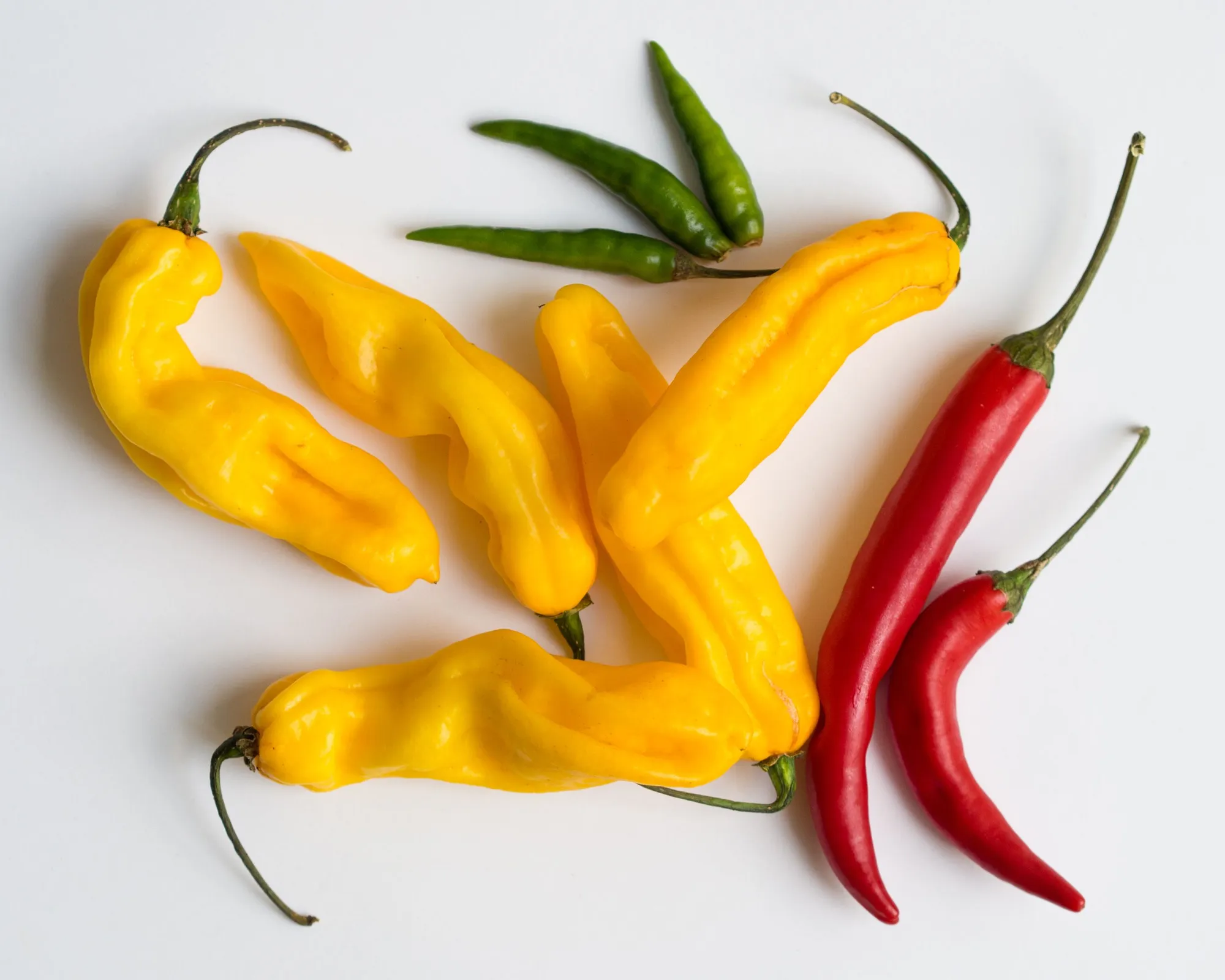 Chiles rojos, amarillos y verdes sobre fondo blanco